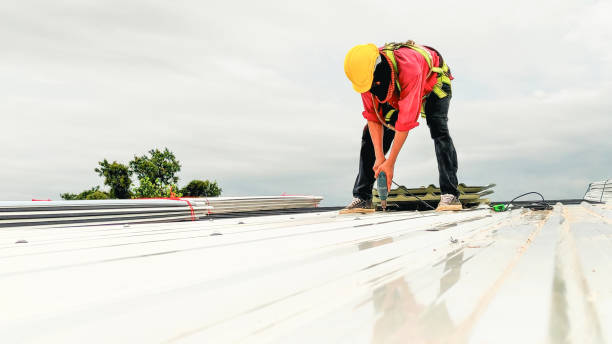 Steel Roofing in Cleveland, MS